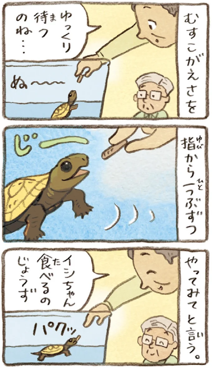 おばあちゃんとかめ 何げに楽しい2匹とのくらし 07-07.webp