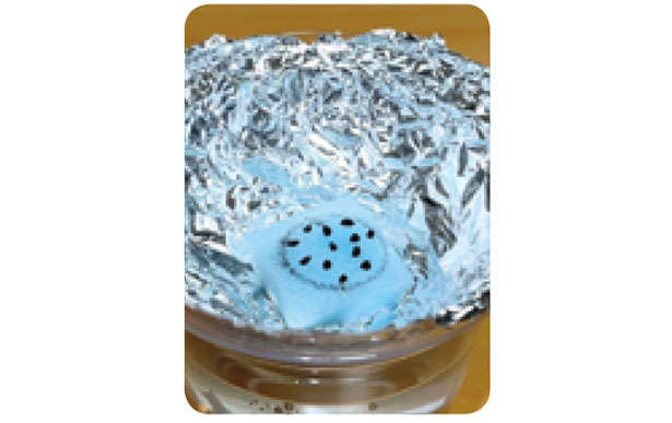 「小ネギ」は自宅で作る時代。「水耕栽培」なら育てやすいので初心者にもおすすめ! 0703.jpg