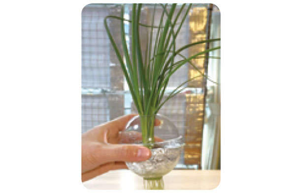「小ネギ」は自宅で作る時代。「水耕栽培」なら育てやすいので初心者にもおすすめ! 0706.jpg