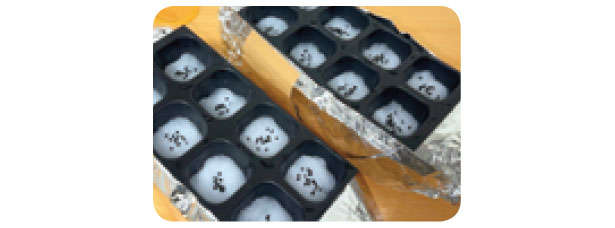 「小ネギ」は自宅で作る時代。「水耕栽培」なら育てやすいので初心者にもおすすめ! 0710.jpg