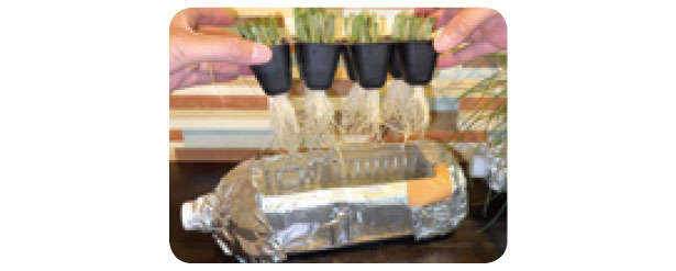 「小ネギ」は自宅で作る時代。「水耕栽培」なら育てやすいので初心者にもおすすめ! 0713.jpg