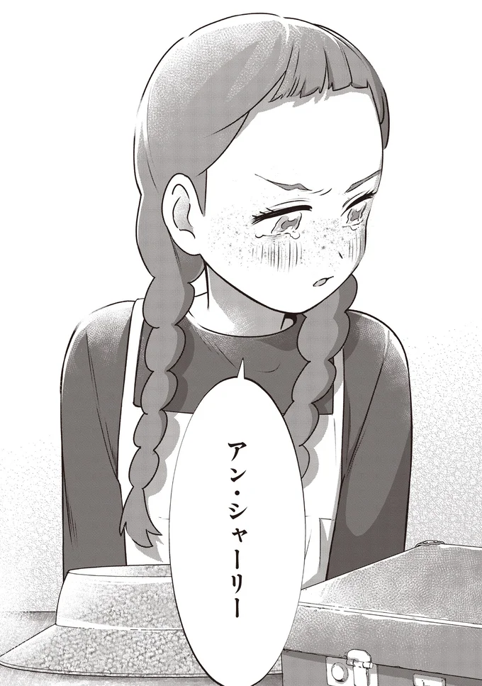 『アン・シャーリー 1』 46.webp