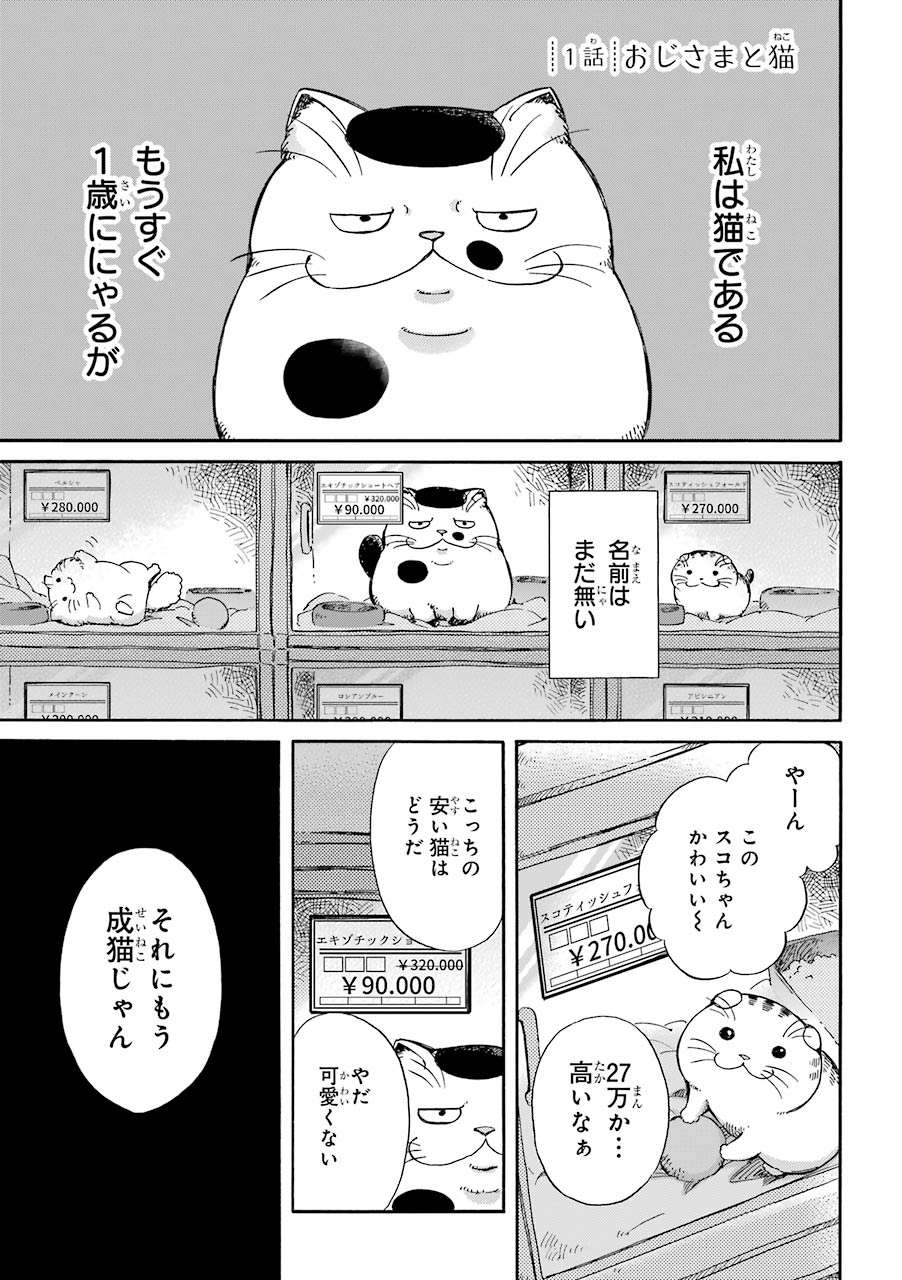 「どうせ誰も...」ペットショップの売れ残り成猫。ある日、紳士が家族にしてくれた「理由」／おじさまと猫 0792_ojsmnk_1280_01_005.jpg