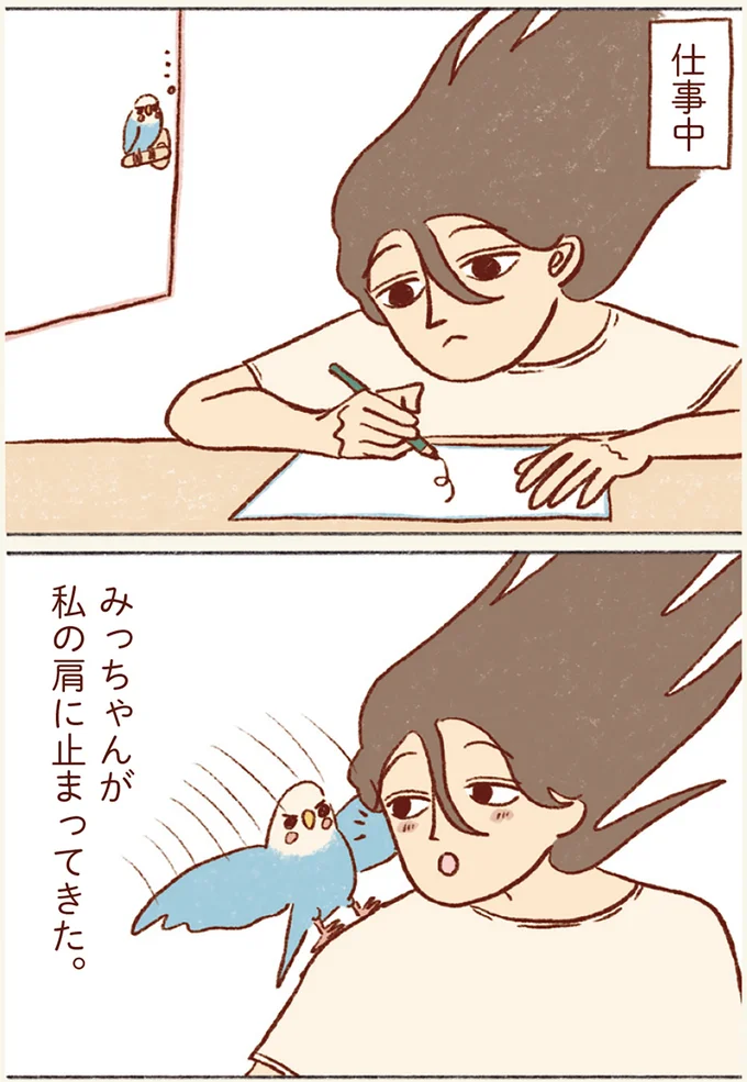 『プジェ日記！ 幸せを運ぶインコのみっちゃん』 131.webp