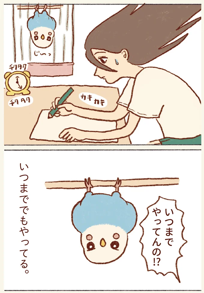 『プジェ日記！ 幸せを運ぶインコのみっちゃん』 53.webp