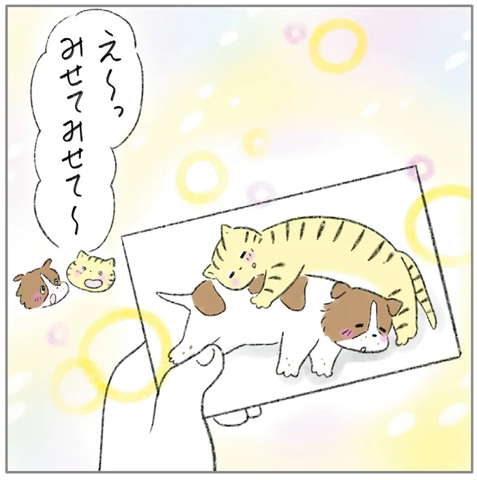 『ターとアグのしあわせ日和 元ノラ猫と元保護犬、ふたりは親友』 08-19.png