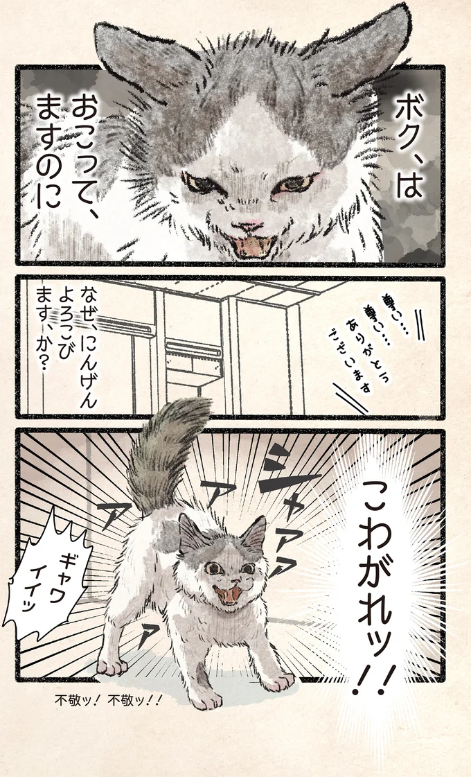 『今日もネコ様の圧が強い2』 102.webp