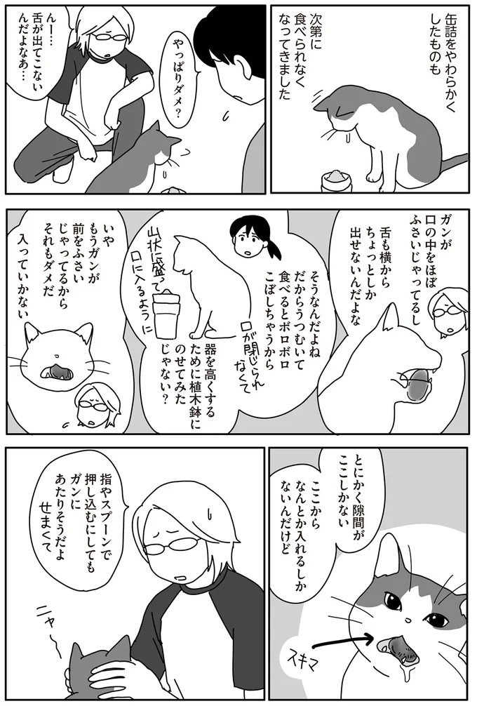 『世界一幸せな飼い主にしてくれた猫』 15-01.png