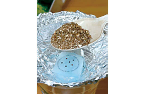 「水菜」は自宅で育てる！たくさん収穫するための「プラカップ」を使った栽培方法を紹介 chapter-1-プラカップ_0124-7-5.jpg