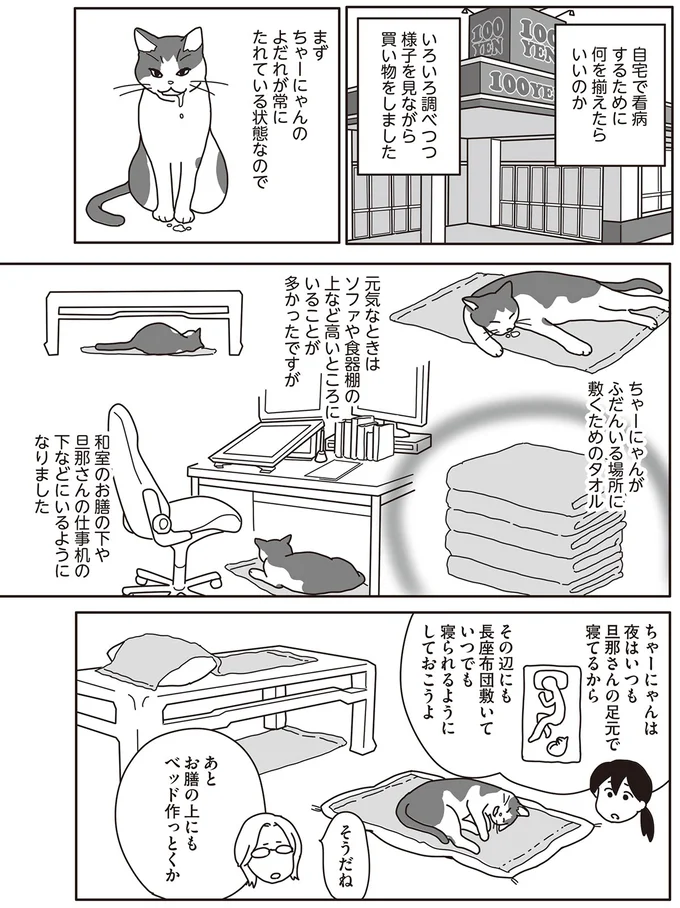 ガンに侵された愛猫。飼い主はできるだけのことをするが、どんどん大きくなって/世界一幸せな飼い主にしてくれた猫 14-01.png