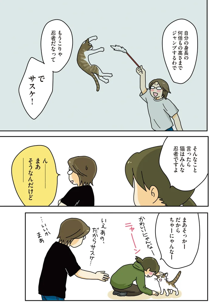 保護した猫は可愛い顔して暴れん坊。部屋の被害が...／世界一幸せな飼い主にしてくれた猫 02-05.png