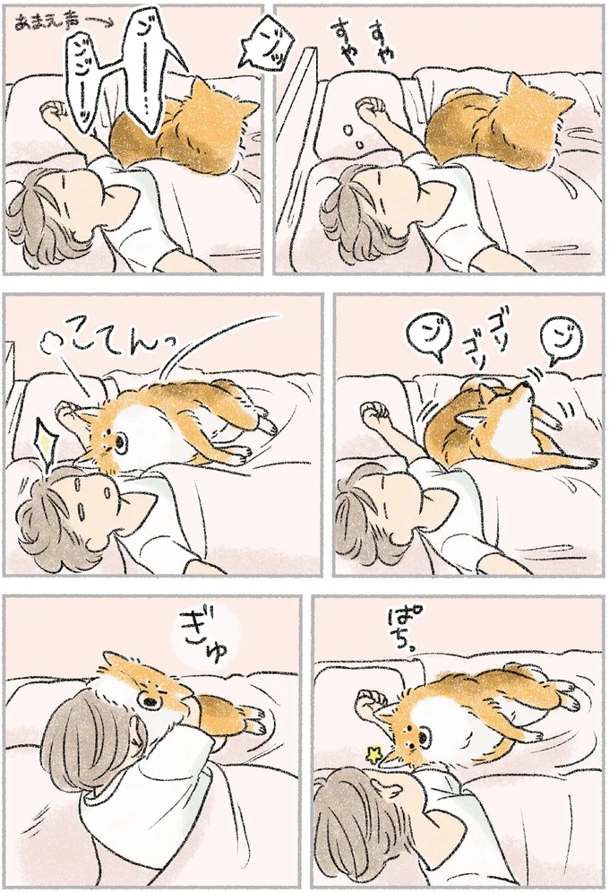 犬と寝る飼い主。ベッドですり寄ってくる姿が愛しすぎる！／犬を揉む 11.png