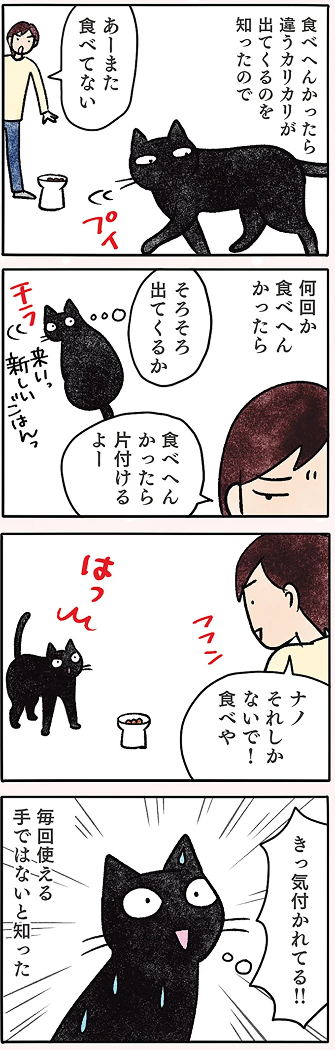 『黒猫ナノとキジシロ猫きなこ』 04-02.png