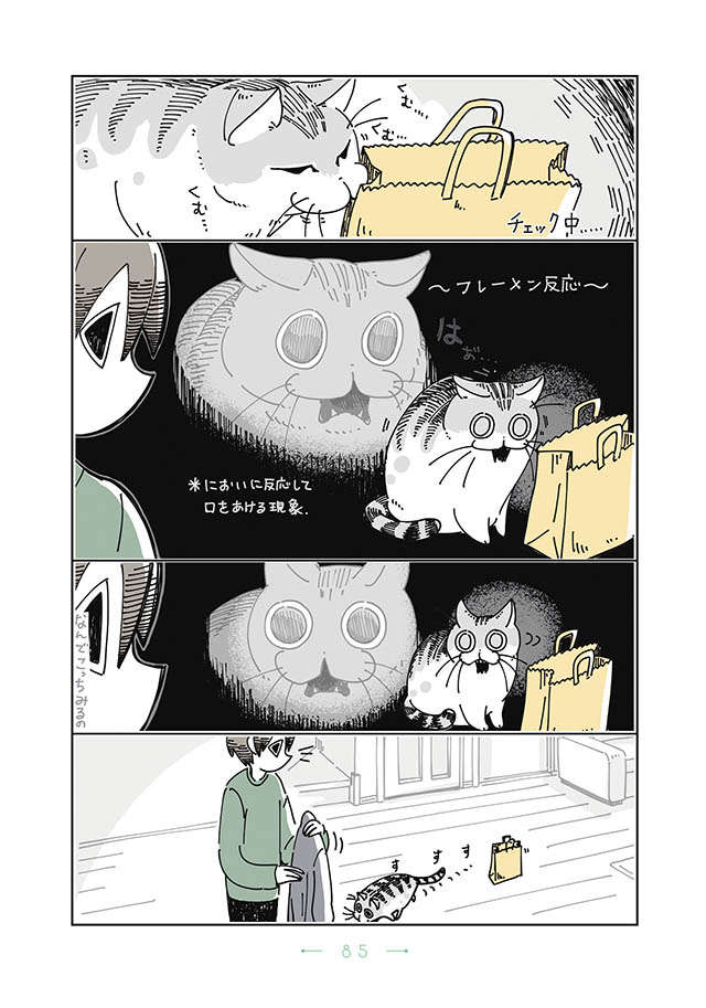 臭いのチェックが厳しい愛猫。ひっかかった時の「惨状」とは／夜は猫といっしょ1 yoruhanekoto_p85.jpg