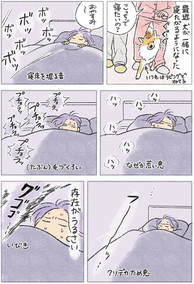 一緒に寝たがるようになった愛犬。なんて愛らしい...いやそうでもない!?／犬を揉む 51.webp