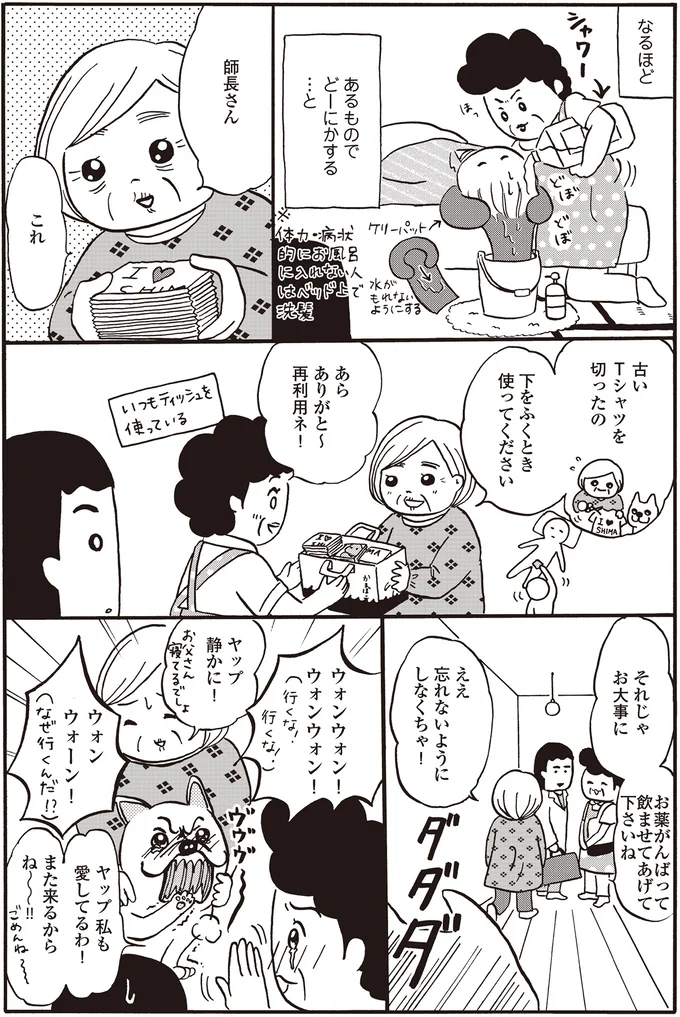 牛を右に曲がる...って!? 研修医が見学した離島の驚くことばかりの訪問看護／離島で研修医やってきました 14016210.webp