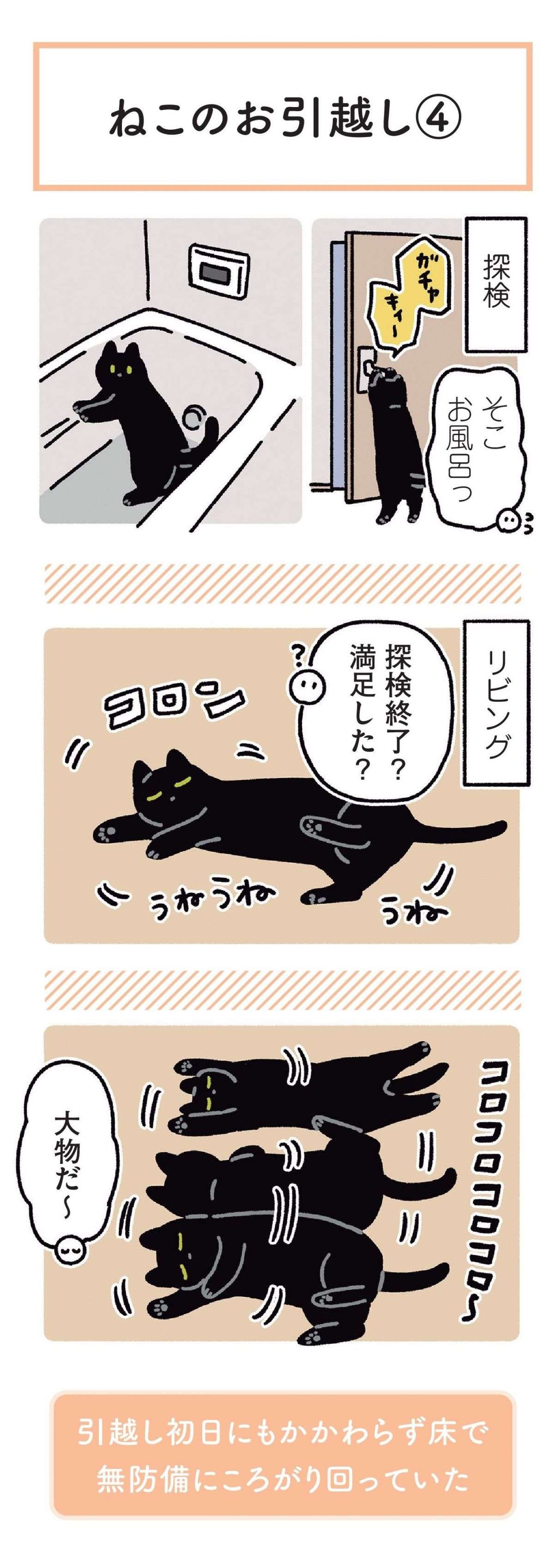 猫は思い通りにならない。引っ越し先でキャットタワーを新調したが／黒猫ろんと暮らしたら 22.jpg