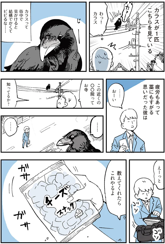 「教えてくれたらお礼やるよ」。道に迷った会社員がカラスに頼んだら...／動物たちが残した25個の不思議なメッセージ 14555400.webp