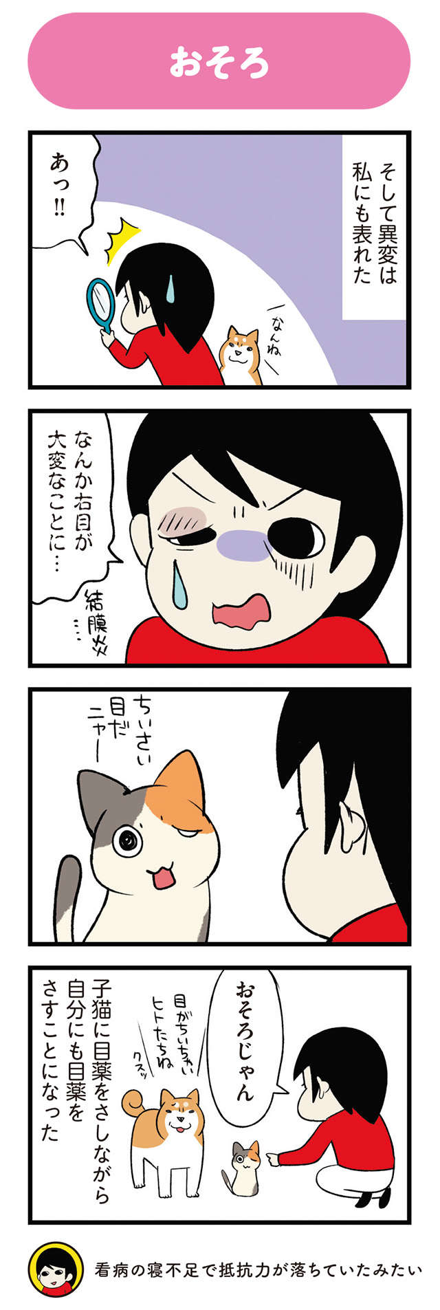 ボロボロだった子猫が回復。ヘトヘトになったけど嬉しかったのは...ウワサのコレ！／うちう猫と柴犬 14.jpg