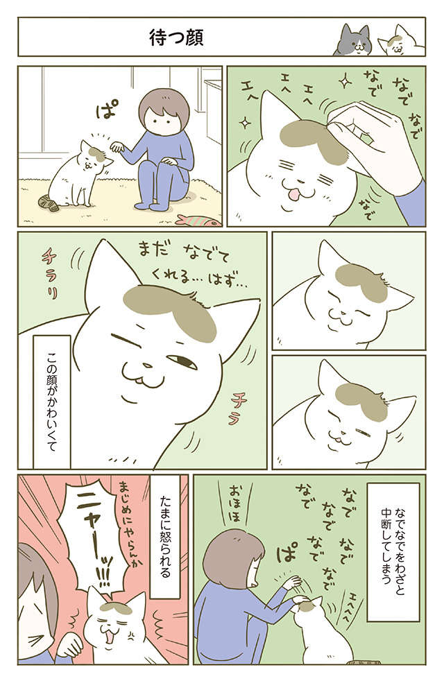 なでなでを途中でやめるとチラ見してくる猫。「その表情」がたまらない！／うちの猫がまた変なことしてる。6 12.jpg