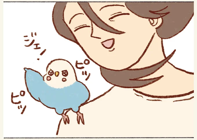 気分は探検家！ めったに行かない2階探索でインコが大興奮！／プジェ日記！ 