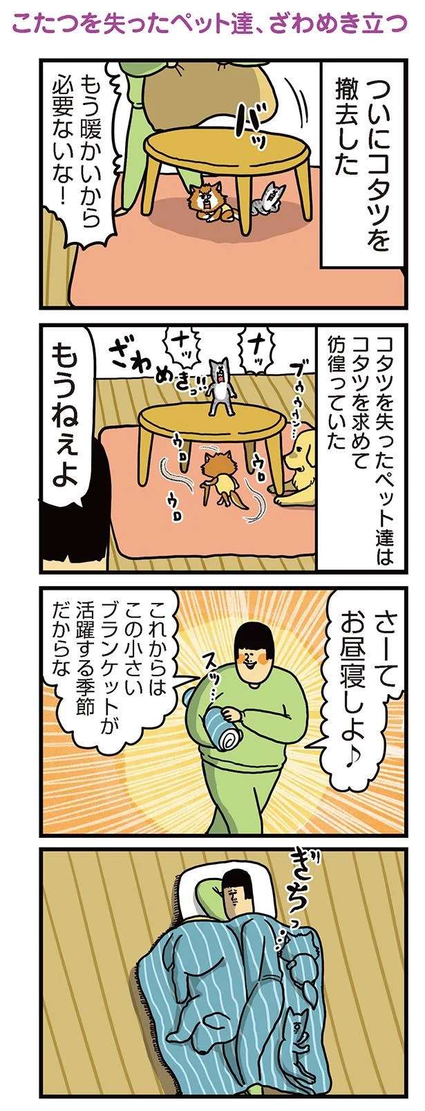 犬と猫が家の中で「難民」に⁉ そして飼い主の秘かな目論みは...ああ／まめきちまめこニートの日常 3 mameko28_1.jpeg