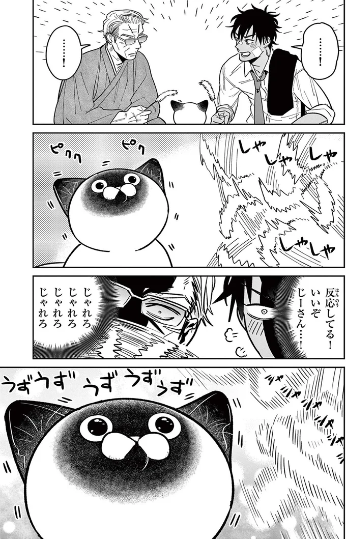 「ホイホイ食いつきやがって」知らない男の猫じゃらしに夢中な野良猫にショック！／オヤジとにゃん吉 16204692.webp