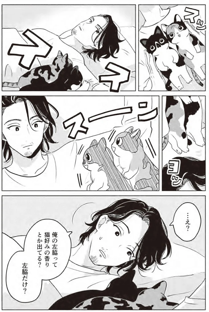 『借金1000万作曲家の人生を変えてくれた猫の話』 34.webp