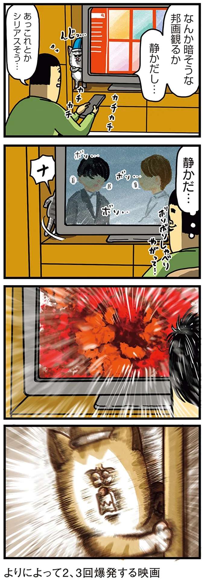 ガッ！ 猫が激怒する「騒音トラブル」。悪いのはこっちなの...？／まめきちまめこニートの日常 こまちとタビ5 mame7_2.jpeg