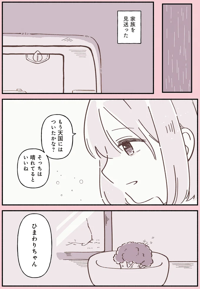 「うちに来て幸せだった？」旅立ったハムスターを思う女の子の涙／ひまちゃんと天国の面接 31.webp