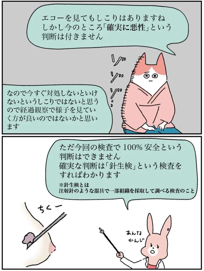 「胸のしこり」が不安でセカンドオピニオンへ。検査のすえ先生の診断は...／アラサー会社員の乳がんの備忘録 arasa2_13.jpeg