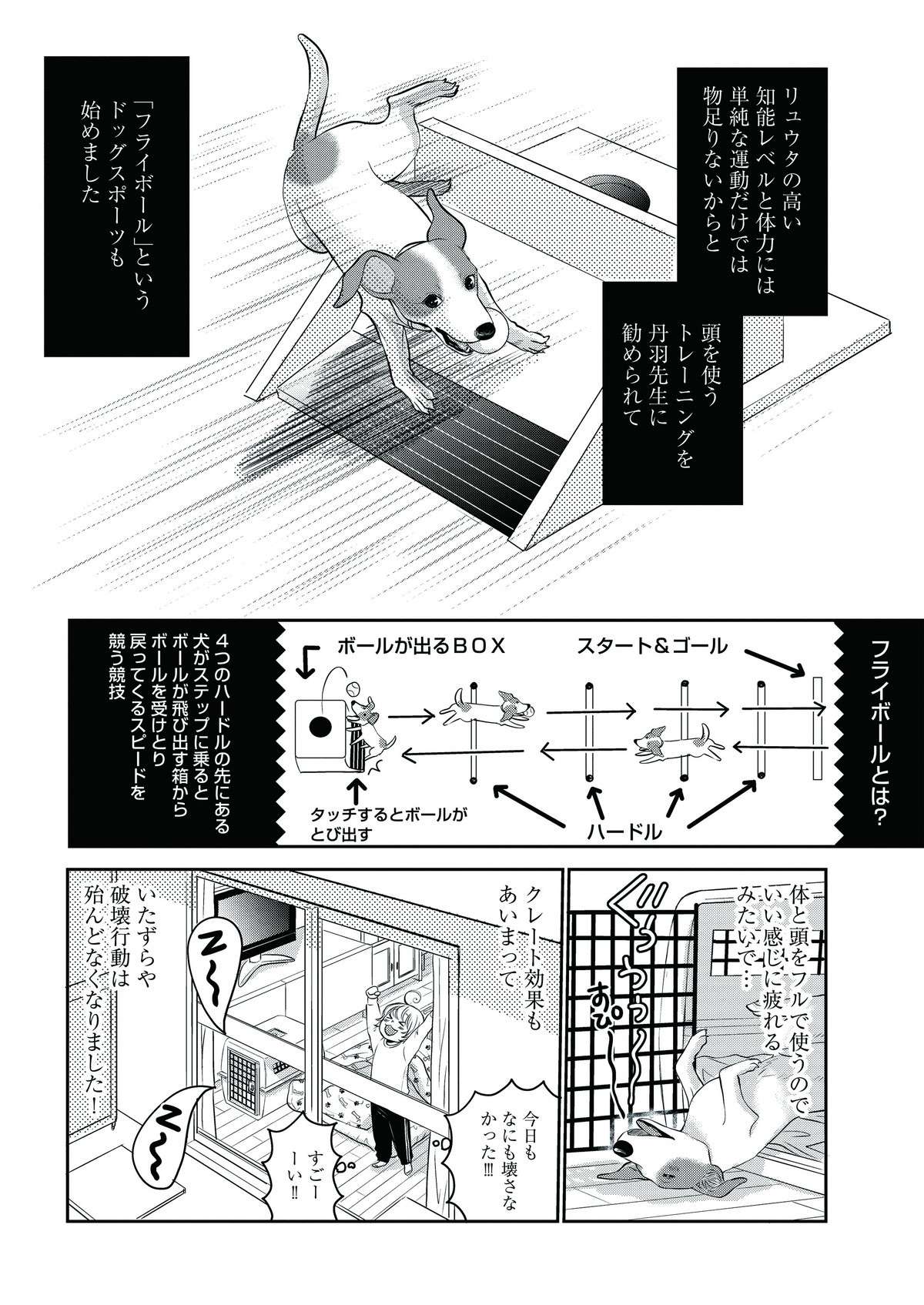 愛犬が誤飲で緊急手術。飼い主に落ち度はあったのか。そして手術の結果は...／DOG SIGNAL 15.jpg