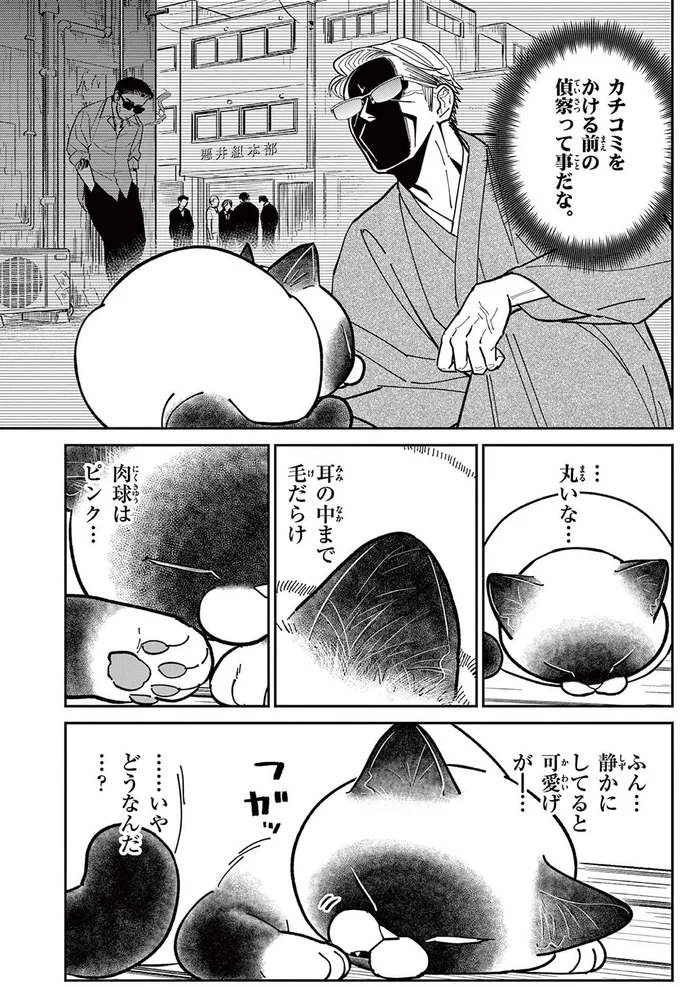 自分の家のようにくつろぐ野良猫。無防備な姿をよく観察すると...／オヤジとにゃん吉 16211533.webp