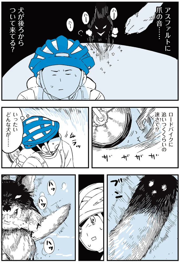 「なっ、なんじゃあぁぁ」自転車の後ろからついてくる「音の正体」／動物たちが残した不思議なメッセージ 12073377.png