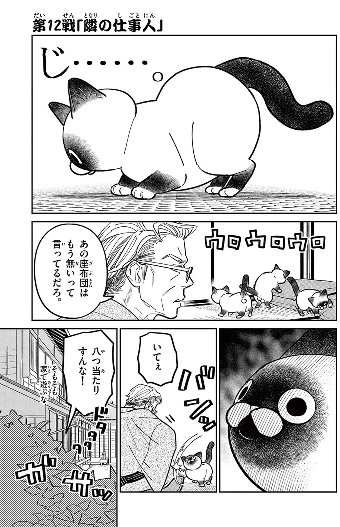 思わず赤面! 野良猫との会話は...お隣さんに筒抜けだった!/オヤジとにゃん吉 16212585.webp