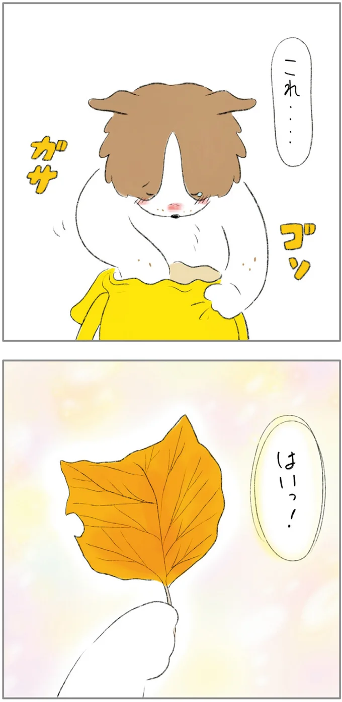 『ターとアグのしあわせ日和 元ノラ猫と元保護犬、ふたりは親友』 01-14.png