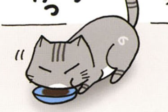 食の細い猫に異変が。やせっぽっちがぷっくり姿になり、それはそれで問題に!?／うちの3ねこ