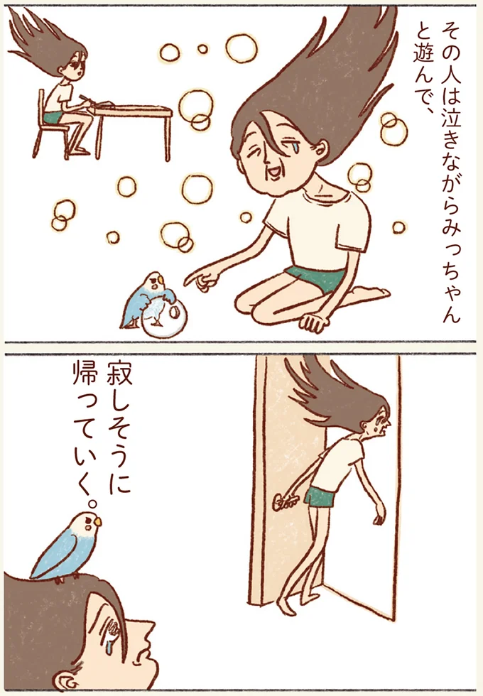 『プジェ日記！ 幸せを運ぶインコのみっちゃん』 32.webp