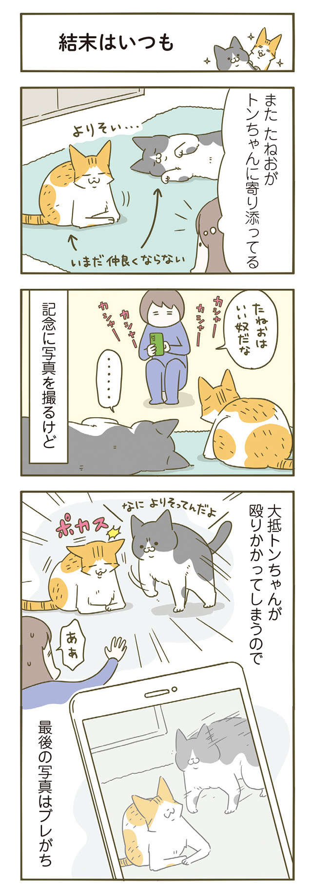 「なんのために？」猫の趣味が理解不能。何かこだわりがある...？／うちの猫がまた変なことしてる。6 13.jpg