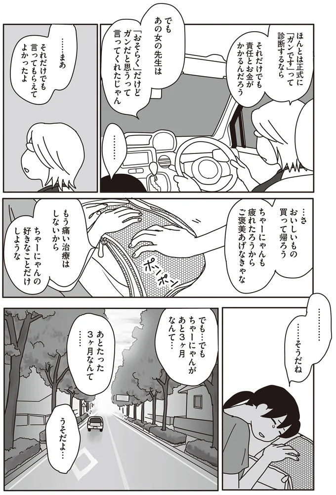 『世界一幸せな飼い主にしてくれた猫』 13-04.png