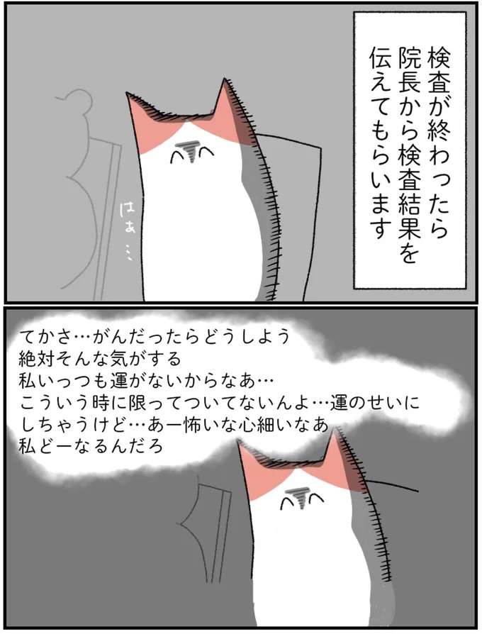 「胸のしこり」が不安でセカンドオピニオンへ。検査のすえ先生の診断は...／アラサー会社員の乳がんの備忘録 arasa2_10.jpeg