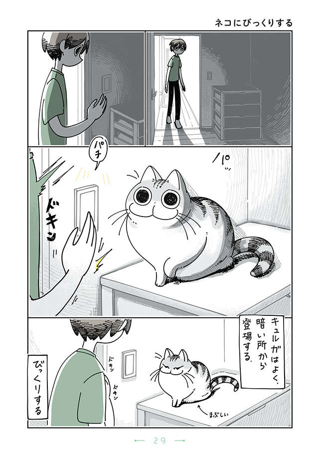 「意外なところにいる猫」にビックリ！ でも就寝中にいる場所は...／夜は猫といっしょ2 yoruhanekoto2_p29.jpg