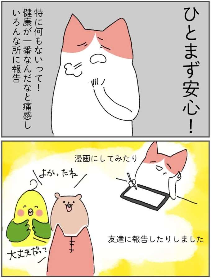 え、胸の横のこのしこりって...これってまさか乳がん？／アラサー会社員の乳がんの備忘録  arasa1_8.jpeg