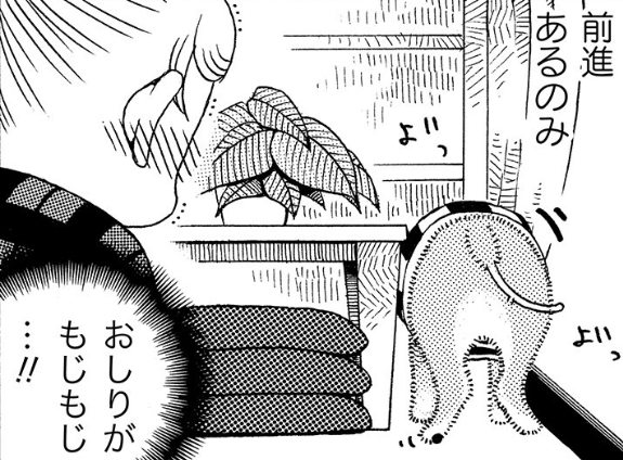 どうしてそこに!? 愛犬がいなくなったと思ったら...／じじ柴ハチさんは、今日も生きています。