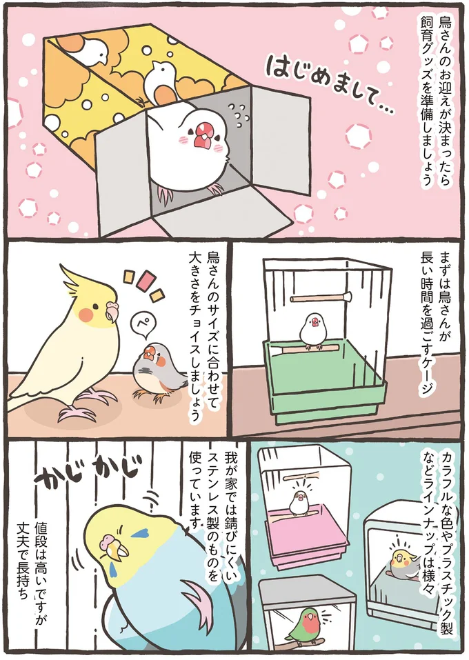 人間の家と一緒。小鳥を飼うのに重要なゲージとその置き場所とは？／トリ扱い説明書 51.png