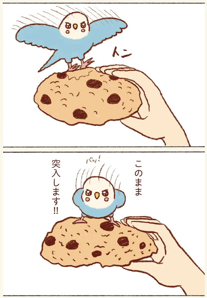 『プジェ日記！ 幸せを運ぶインコのみっちゃん』 73.webp