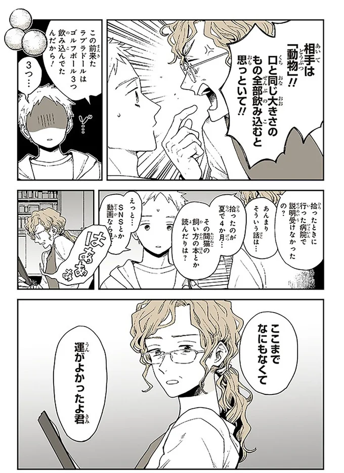 愛する猫の体調が急変！ 獣医師の指摘に飼い主が真っ青に...／特別じゃない日 15667058.webp