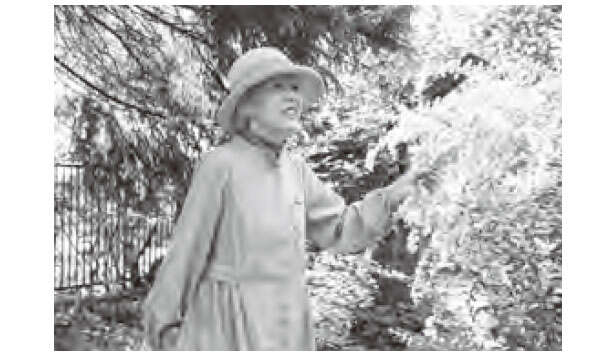 【登録者数39万人超のYouTubeチャンネル】92歳祖母が実行中の「ちょこちょこ運動」 1010.jpg