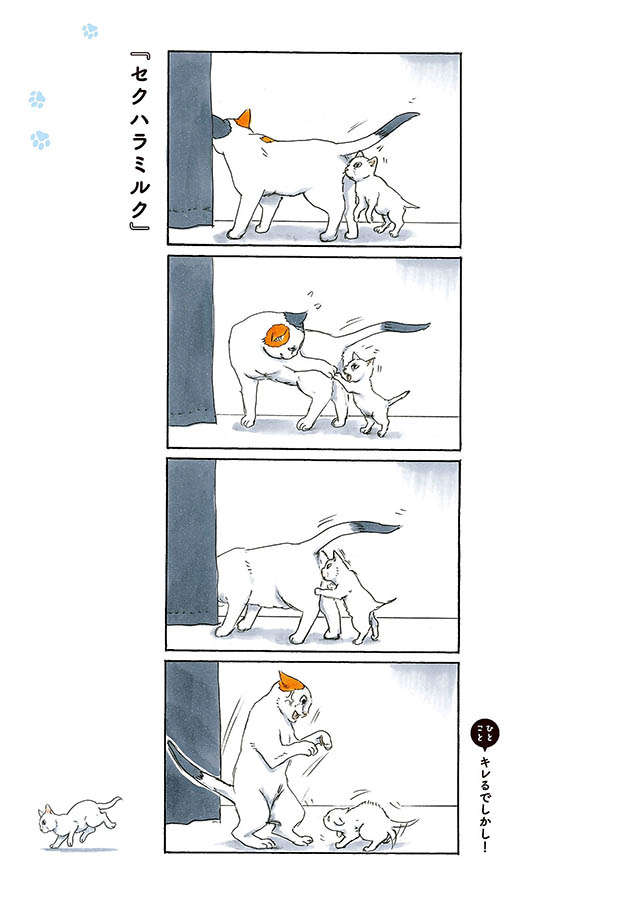 え...ええ～？ 猫の不思議。なぜそんなところに...！／拾い猫のモチャ 22.jpg