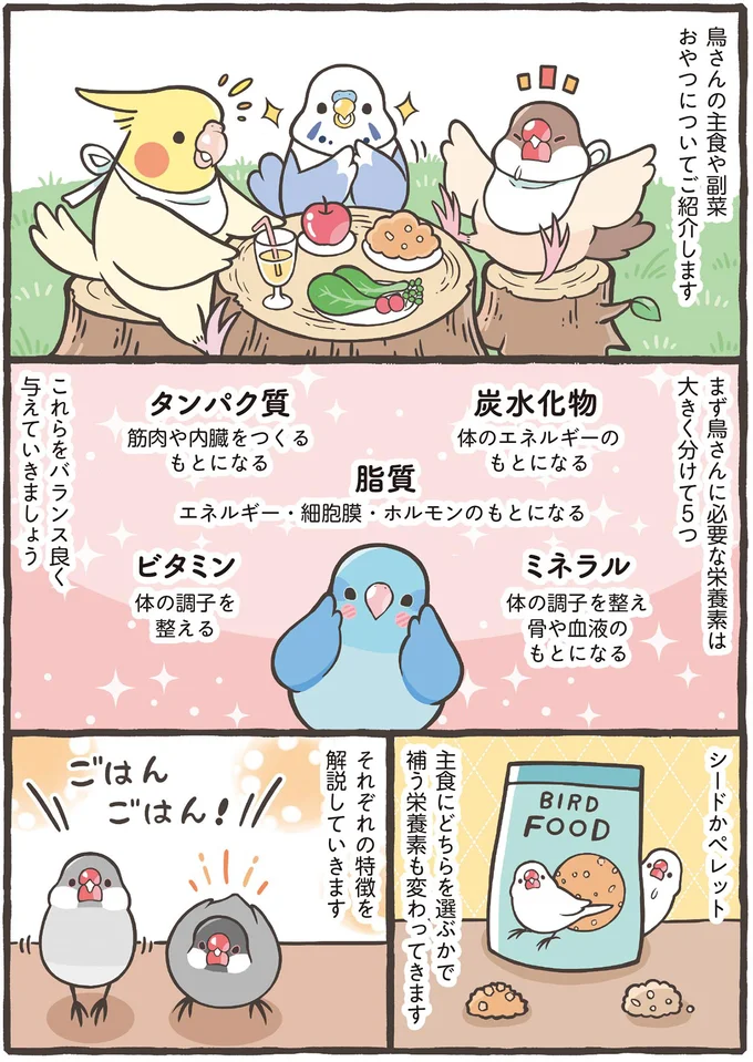 小鳥に必要な5つの栄養素。しっかり与えるポイントは副食もあげること！／トリ扱い説明書 71.png